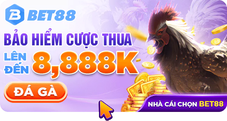 Bảo hiểm cược thua đá gà đến 8888K